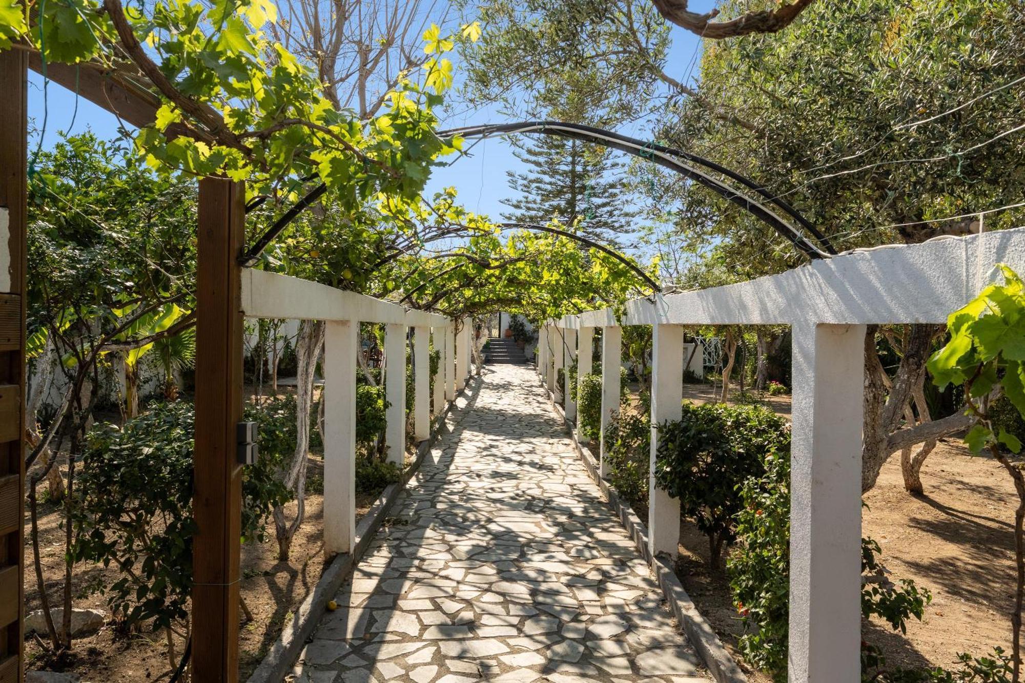 Ariadni Apartments Faliraki Exterior foto